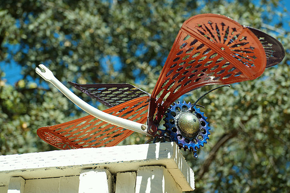 Rancho Santa Ana Botanic Garden, Claremont CA