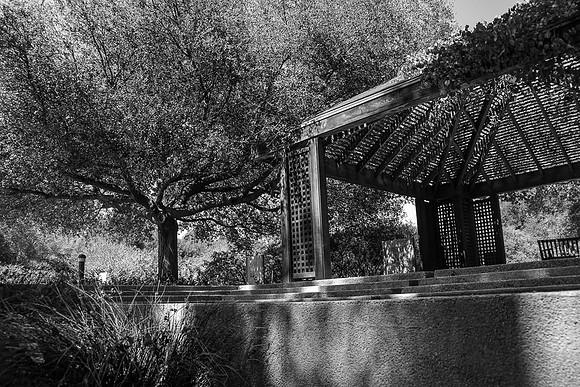 Rancho Santa Ana Botanic Garden, Claremont CA
