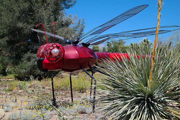 Rancho Santa Ana Botanic Garden, Claremont CA