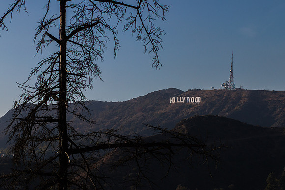 Hollywood Sign, Griffith Park, Los Angeles