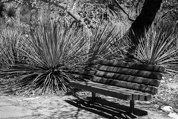 bench