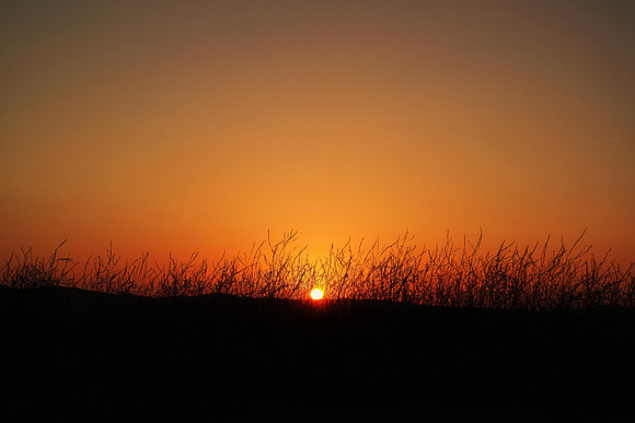 Chino Hills State Park