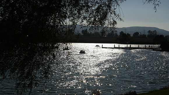 Prado Regional Park, Chino CA