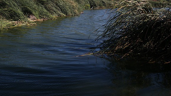 Prado Regional Park, Chino CA