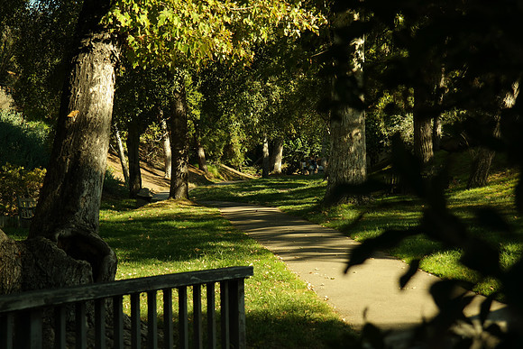 UC Riverside Botanic Garden, Riverside CA