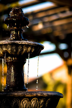 Water Fountain