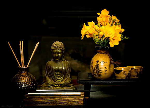 Freesia, yellow