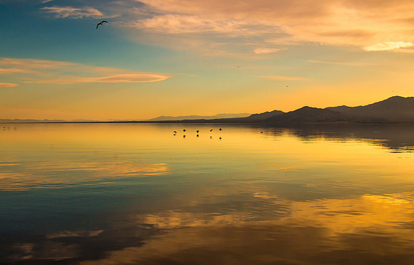 Salton Sea