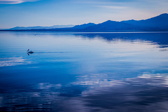 Salton Sea