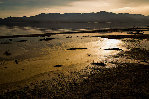 Memories from Salton Sea