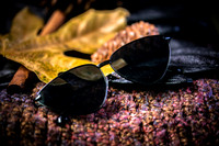 Tran Sunnies