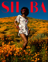 Shuba Magazine Issue 23 Vol 11