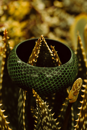 Greenobee Wooden Bangle