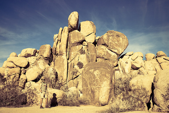 Joshua Tree National Park