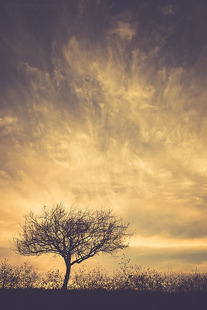spring equinox